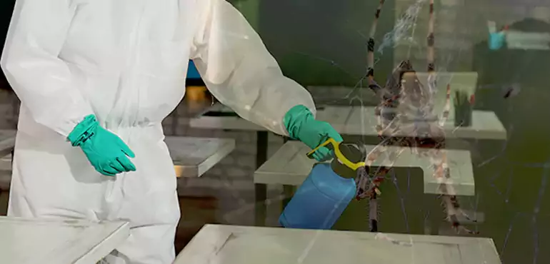 Why Buyers Still Want Homes With Pest Infestations in Madison, WI?
