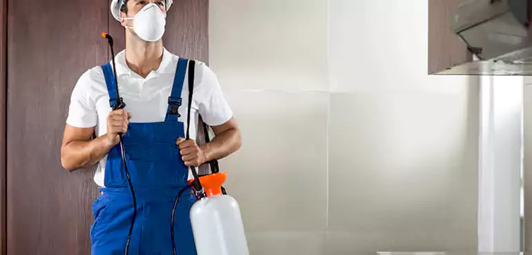 Why Madison Homeowners Choose Us When Pests Make Selling Difficult