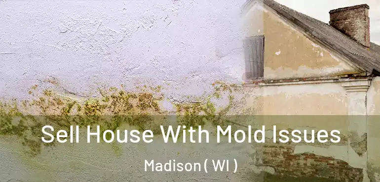  Sell House With Mold Issues Madison ( WI )